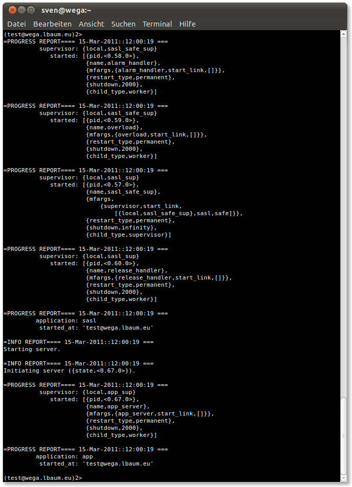 Remote node with started application.